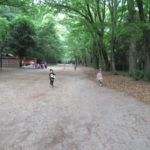 5月26日(金)　ひかり組下鴨神社お散歩