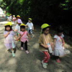5月17日（水）　ひよこ組ことり組　下鴨神社お散歩
