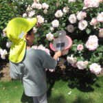 5月10日（水）ひよこ組　親子遠足in植物園