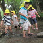 ６月２１日（水）　ひよこ組　川遊び　下鴨神社