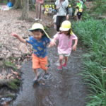 ６月２１日（水）　ひよこ組　川遊び　下鴨神社