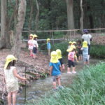 ６月２１日（水）　ひよこ組　川遊び　下鴨神社