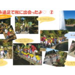 お散歩遠足＜植物園＞１１月２２日（水）