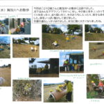 2月7日（水）たんぽぽぐみ　ことり２組　賀茂川へお散歩