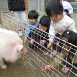 移動動物園　2月29日(木）