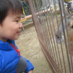 移動動物園　2月29日(木）