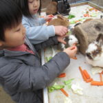 移動動物園　2月29日(木）