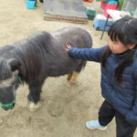 移動動物園　2月29日(木）