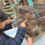 移動動物園　2月29日(木）