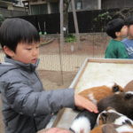 移動動物園　2月29日(木）