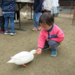 移動動物園　2月29日(木）