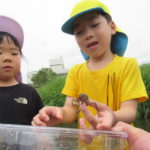 5月23日(木）ひかり組　出町柳・三角州（お散歩、川遊び）