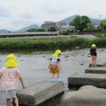 5月23日(木）ひかり組　出町柳・三角州（お散歩、川遊び）