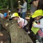 5月29日（水）たんぽぽ組　親子遠足（御所）