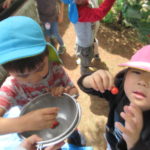 さくらんぼ食べたよ　5月7日（水）