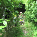 親子遠足(たんぽぽ組）5月21日(水）
