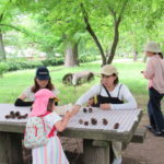 親子遠足(たんぽぽ組）5月21日(水）