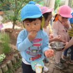 さくらんぼ食べたよ　5月7日（水）