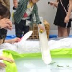 ファミリーDAY　6月7日(土）