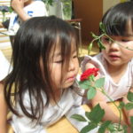 花の日礼拝　6月6日(金）