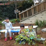 焼き芋　１１月１２日（水）