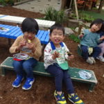 焼き芋　１１月１２日（水）