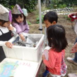 焼き芋　１１月１２日（水）