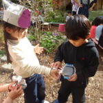 焼き芋　１１月１２日（水）