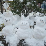 雪遊び　2月９日（月）